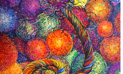 Bunt auf Bunt