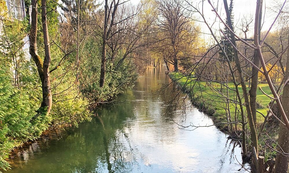 FloriansMühle wird ein Park?